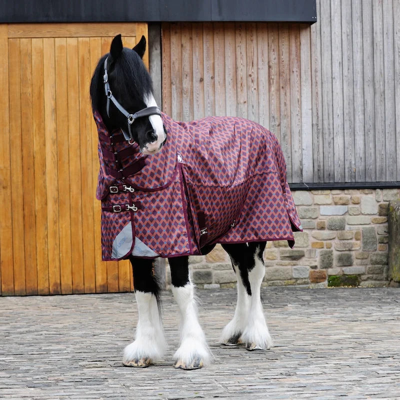 Epic Classic 50g Combo Turnout Rug