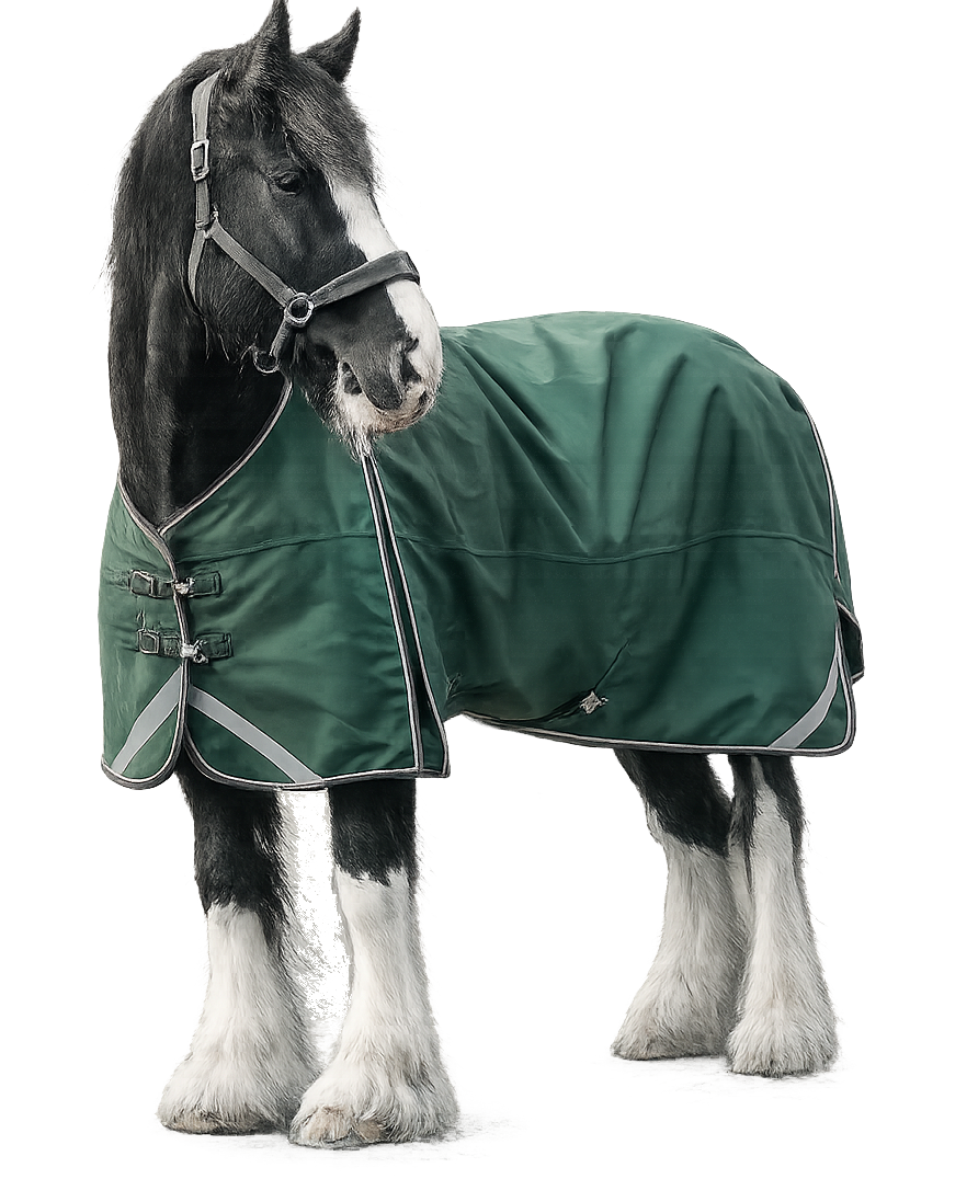 Epic Essential 100g Turnout Rug - Broad Fit