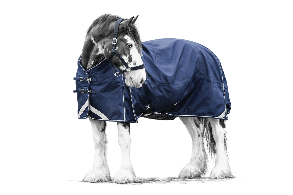Epic Essential 40g Turnout Rug - Broad Fit