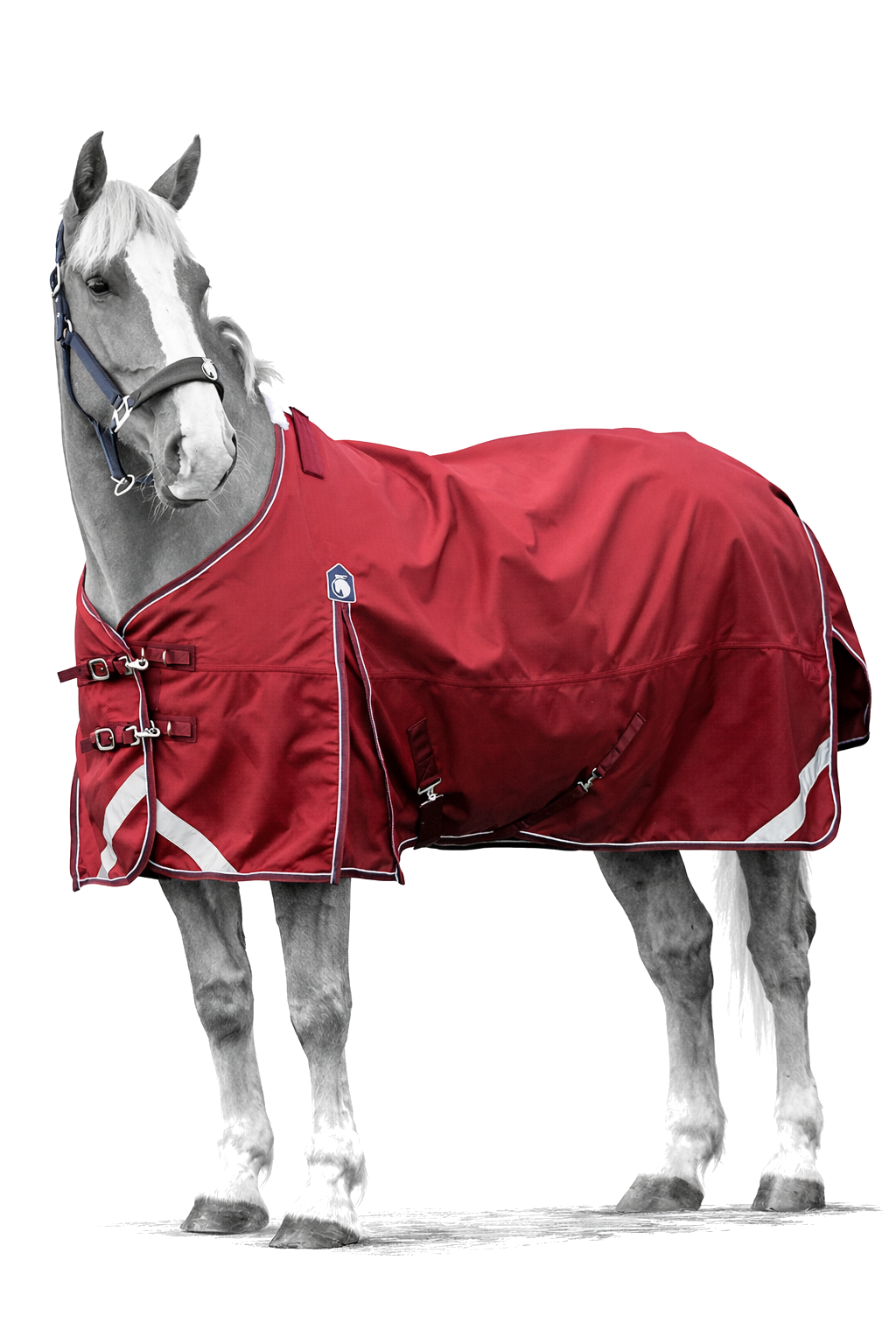 Epic Essential No Fill Turnout Rug - Broad Fit