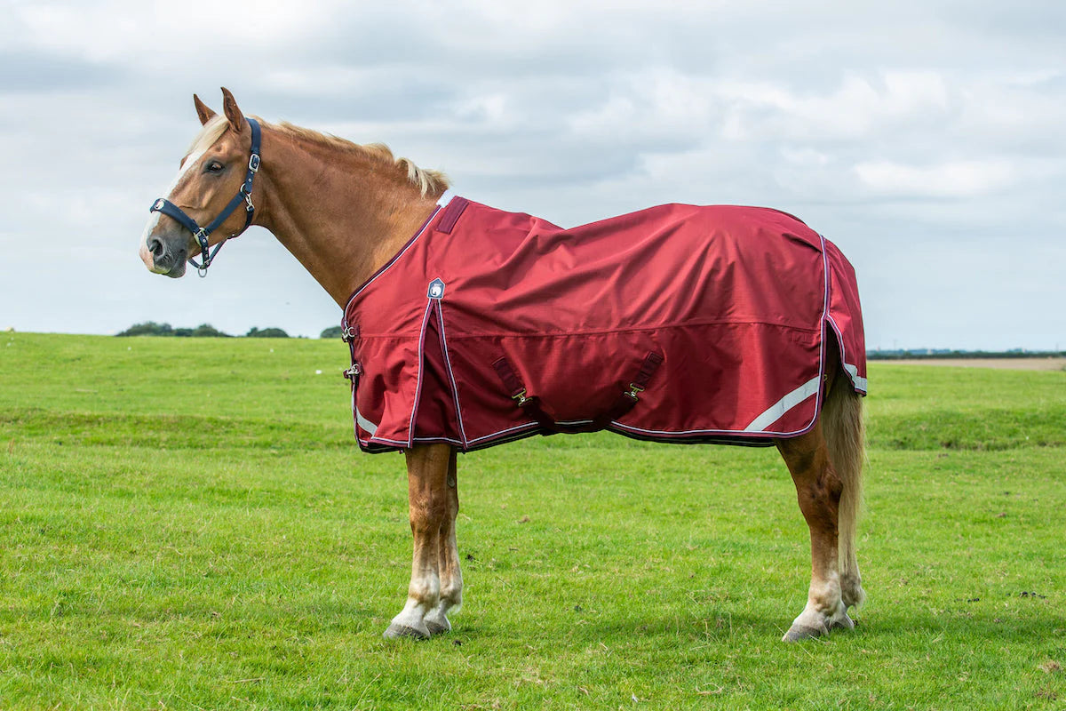 Epic Essential No Fill Turnout Rug - Broad Fit