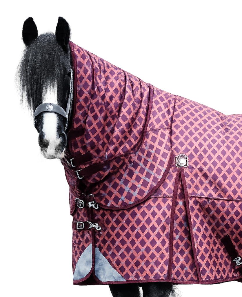 Epic Classic 50g Combo Turnout Rug