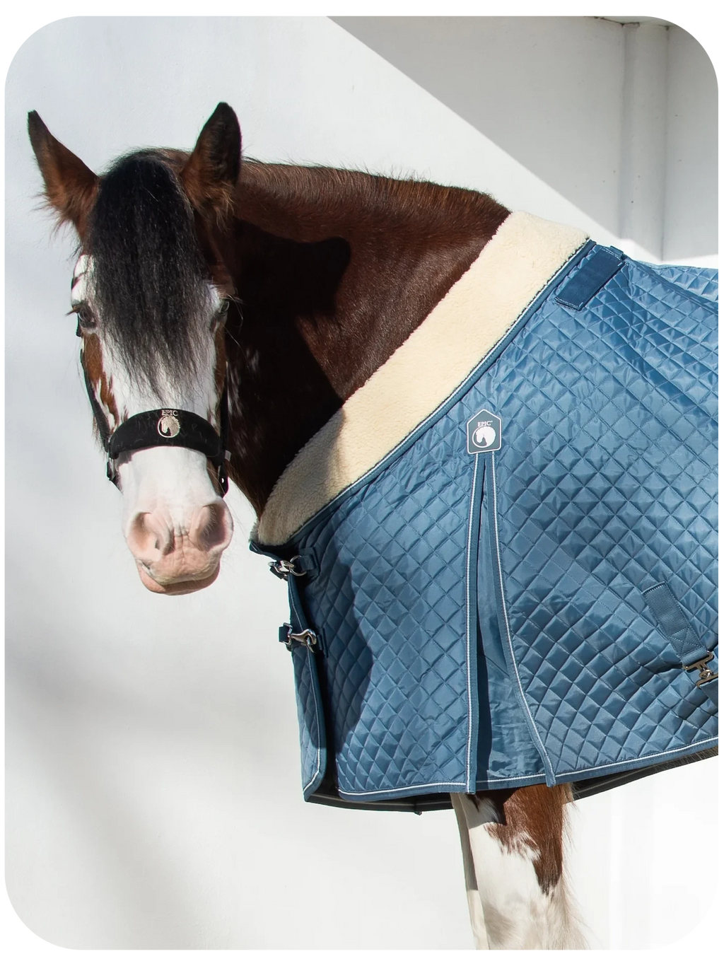 Epic Classic 50g Stable Rug - Broad Fit