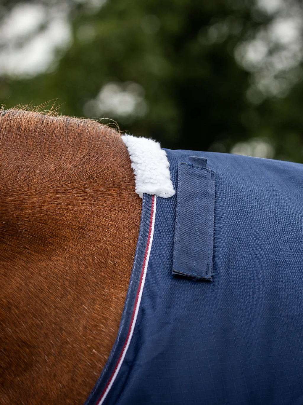 Epic Essential 40g Turnout Rug - Broad Fit