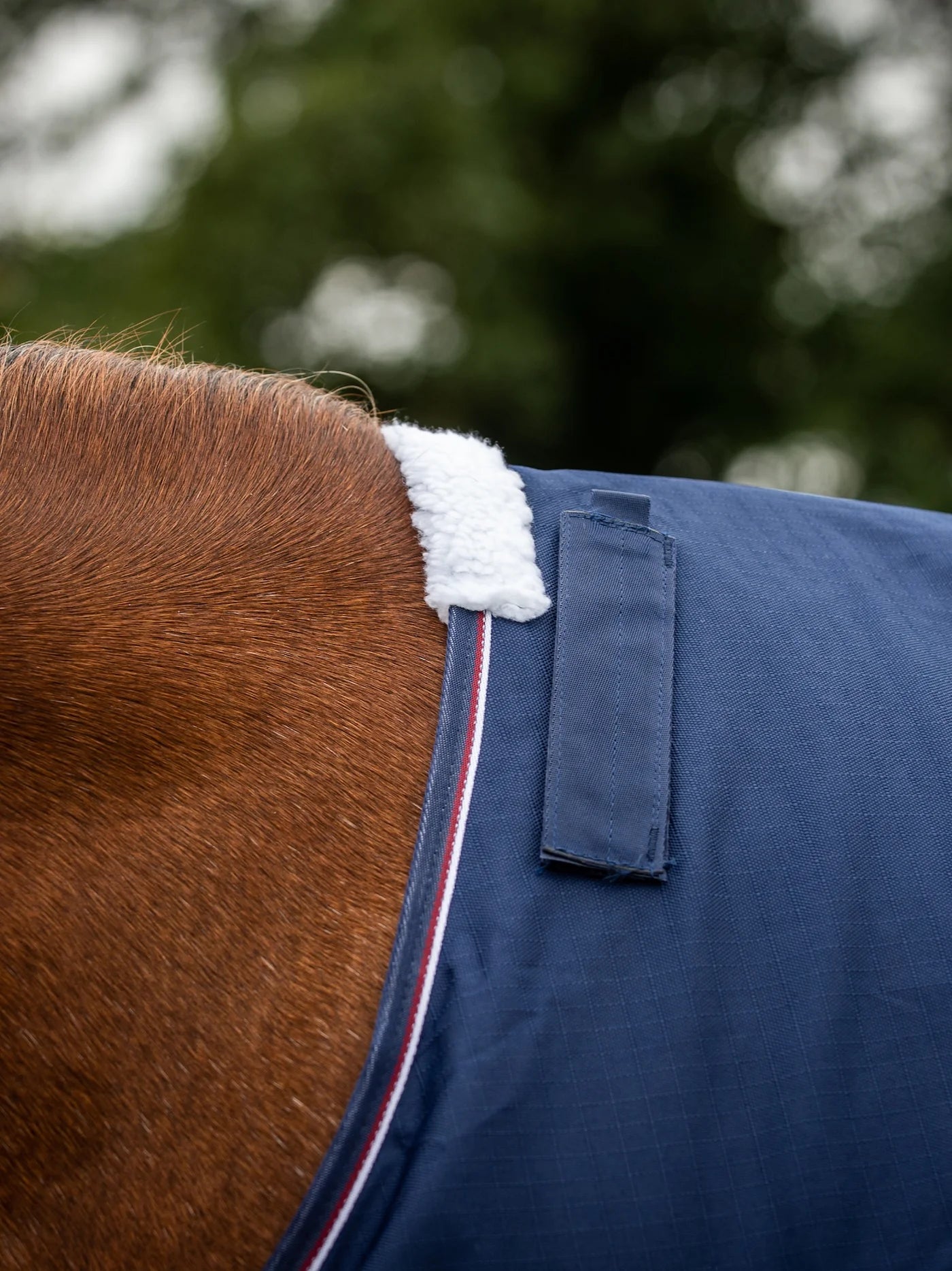 Epic Essential 40g Turnout Rug - Broad Fit